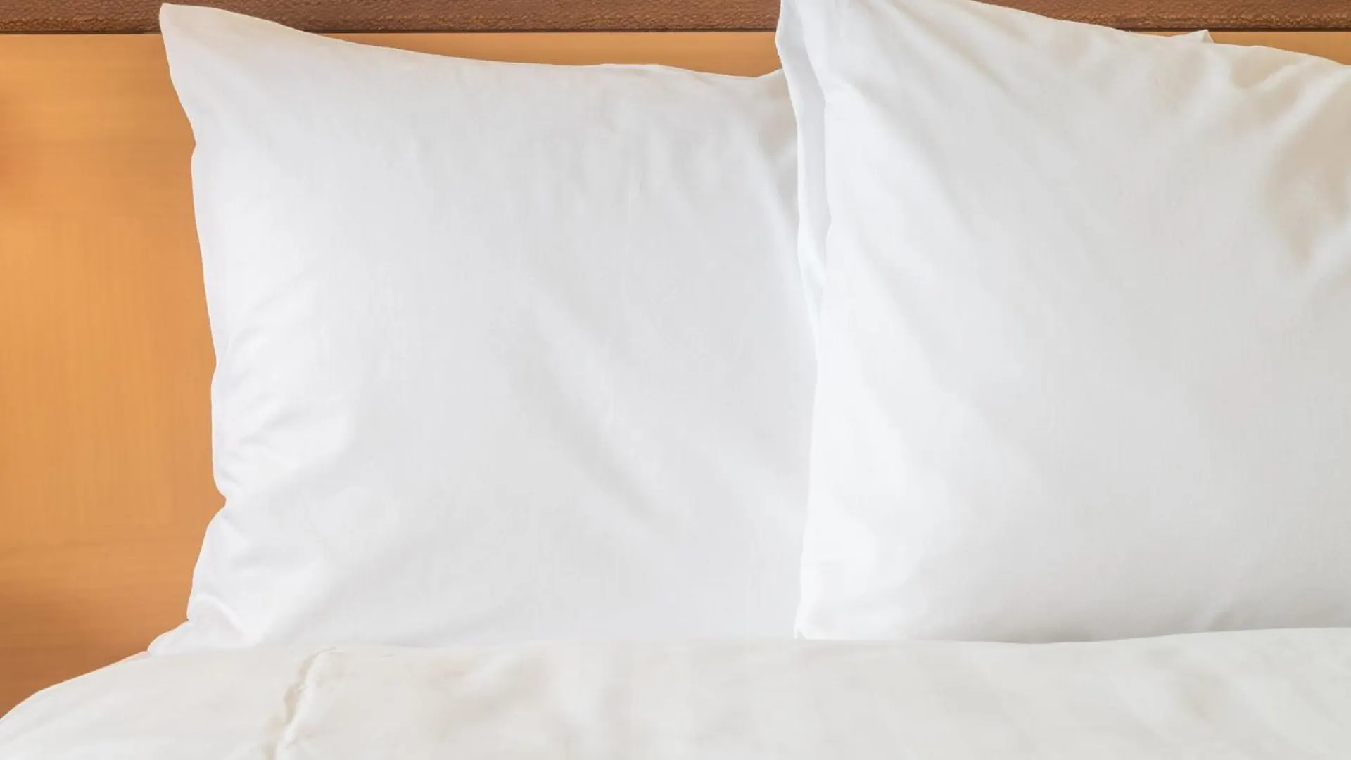 Orange County Hotel 圣安娜 0*,  美国